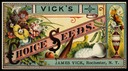 Vick's Seeds