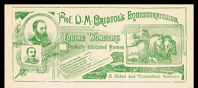 Bristol'sEquescurriculum150