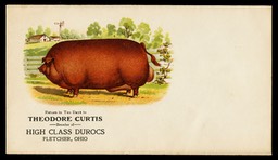 Theodore Curtis, Breeder of High Class Duroc Hogs