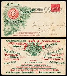 J. A. Everitt, Seedsman