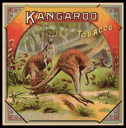 Kangaroo Tobacco