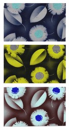 The Original Designing Company