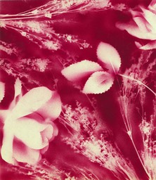 The Original Designing Company