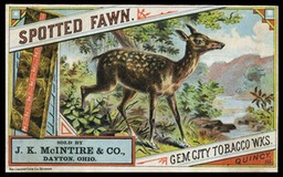 J. K. McIntire & Company