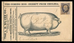 L. B. Silver Company / Improved Chester Swine