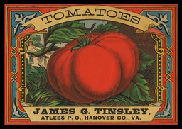 James G. Tinsley / Tomatoes